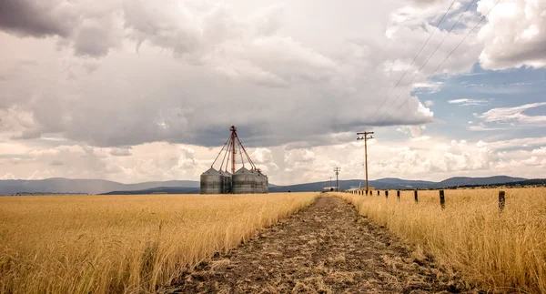 폭풍우 치는 날에 곡물 저장소 — 스톡 사진