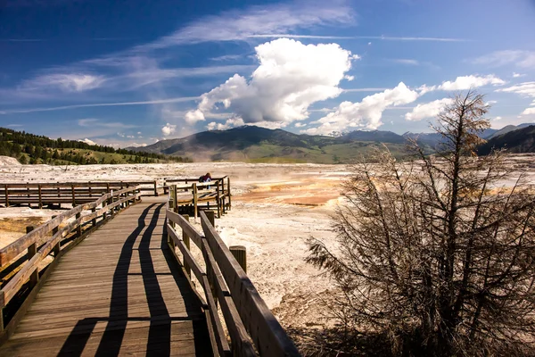 Mamut Termas Terraza — Foto de Stock