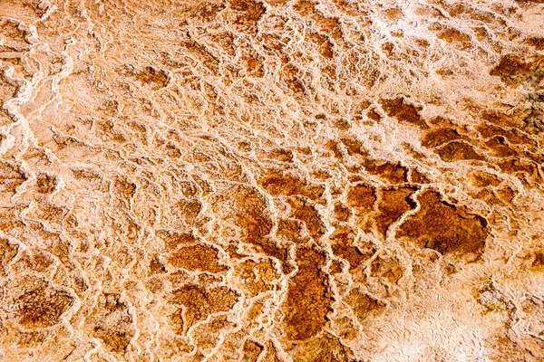 Yellowstone Thermal Feature Close Up – stockfoto