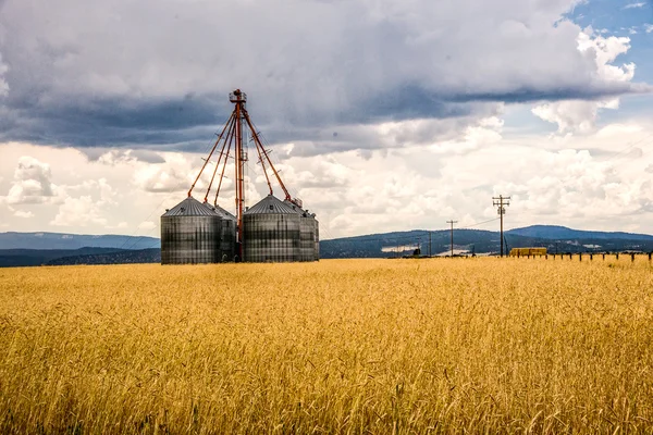 Grain Bins on a Stormy Day — Stock Photo, Image