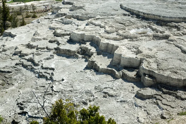 Mammut Hot Springs Terrazza — Foto Stock