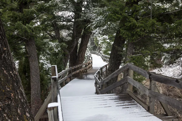 Inverno neve no calçadão — Fotografia de Stock