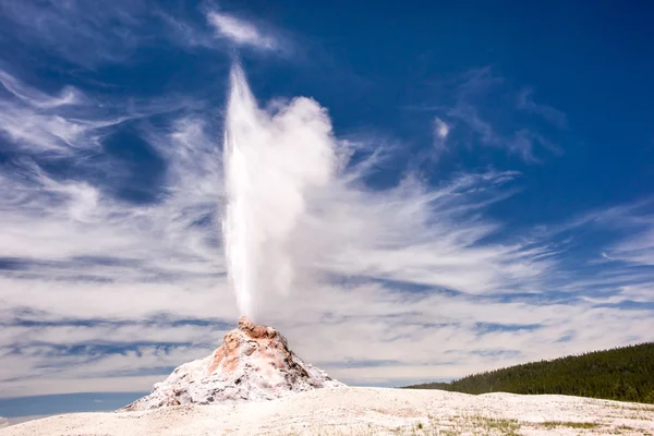 Yellowstones vita kupol Geyser — Stockfoto