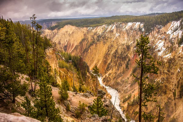 El Gran Cañón de Yellowstone — Foto de Stock