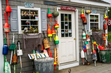 New England ıstakoz Lirası
