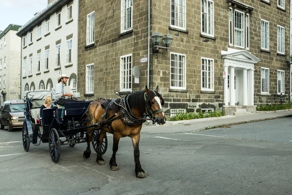 Quebec Carriage Trade — Stock Photo, Image