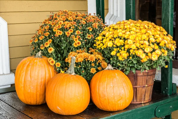 Autumn Color Display — Stock Photo, Image