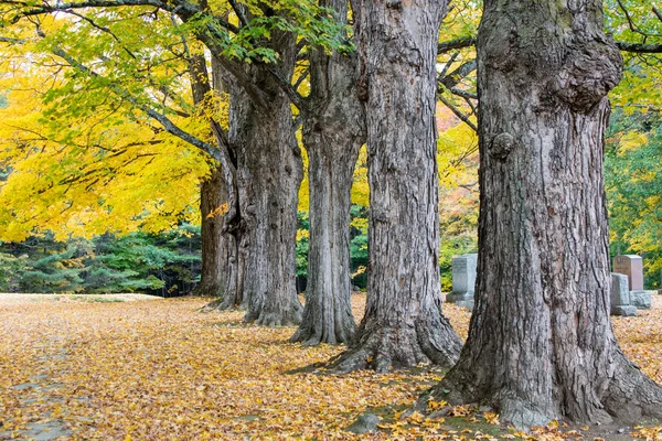 Cimetière d'automne en Nouvelle-Angleterre — Photo