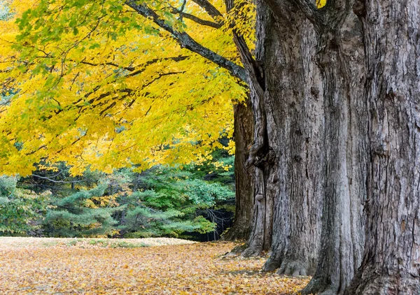 New england autumn friedhof — Stockfoto