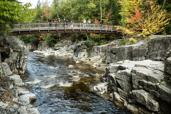 Autunno cade Vista — Foto Stock