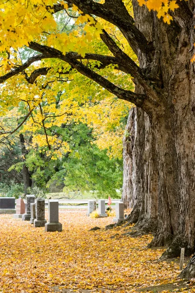 Feuillage d'automne dans un cimetière du New Hampshire — Photo