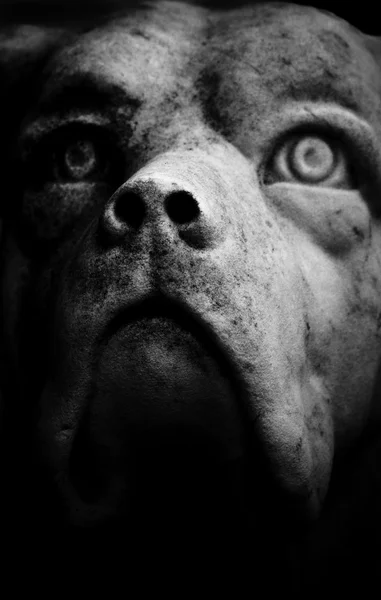 Scary Dog Statue — Stock Photo, Image