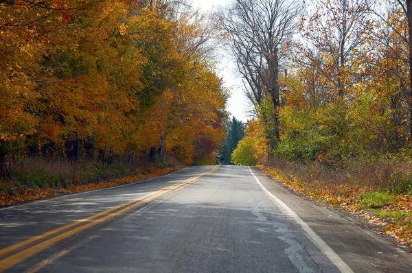 Herfstbladeren op een landelijke weg — Stockfoto