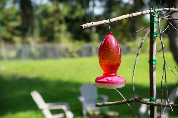 Red Hummingbird feeder te wachten voor een bezoek — Stockfoto