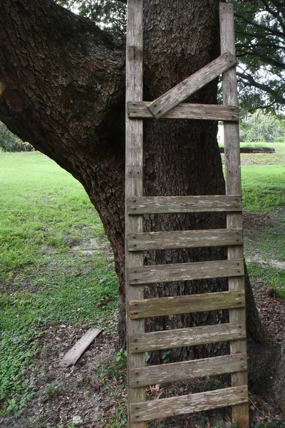Gebroken Ladder met een rung ontbrekende — Stockfoto