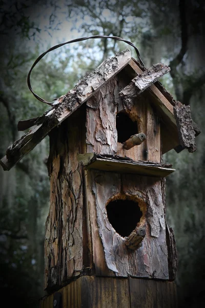 Maison d'oiseaux altérée battue par des écureuils et des pics — Photo