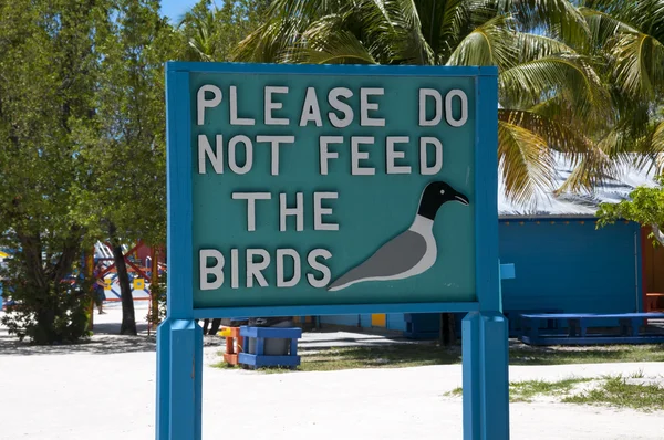 Vogels — Stockfoto