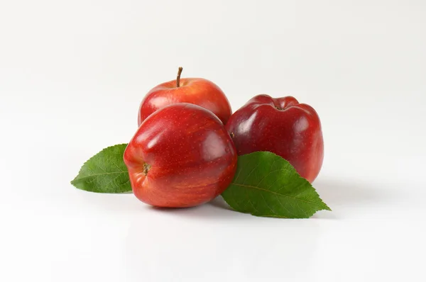 Glänzend rote Äpfel — Stockfoto