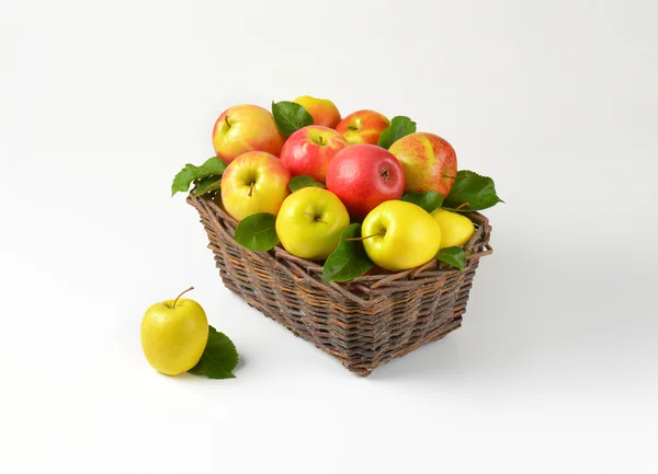 Basket of apples — Stock Photo, Image