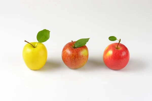 Three apple varieties — Stock Photo, Image