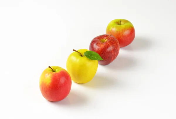 Спелые яблоки в ряд — стоковое фото