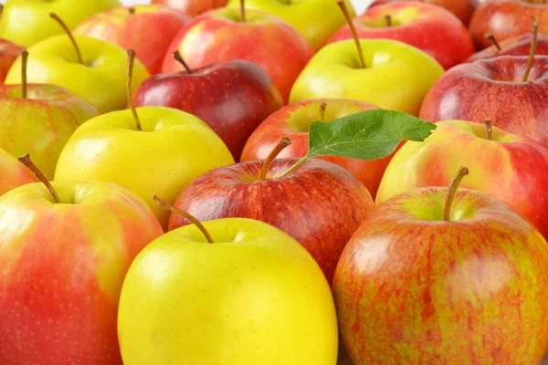 Gruppe reifer Äpfel — Stockfoto