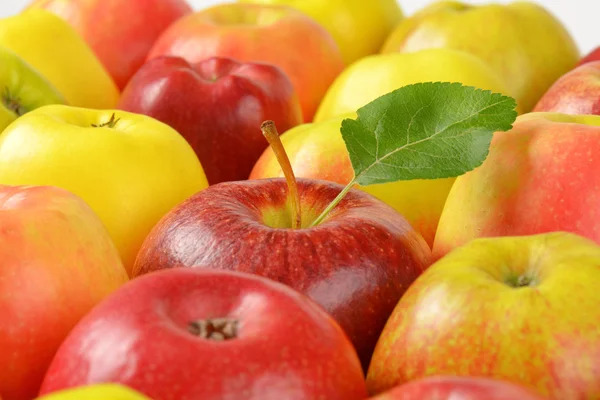 Group of ripe apples — Stock Photo, Image