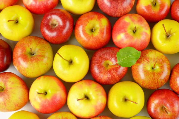 Group of ripe apples — Stock Photo, Image