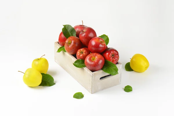 Schachtel mit Äpfeln — Stockfoto