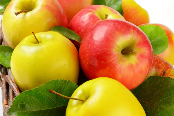 Red and yellow apples — Stock Photo, Image