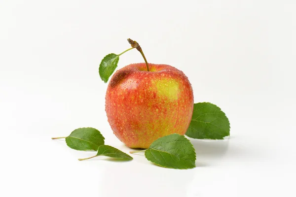 Manzana roja lavada — Foto de Stock