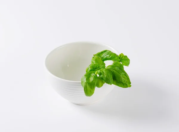 Fresh basil in white bowl — Stock Photo, Image