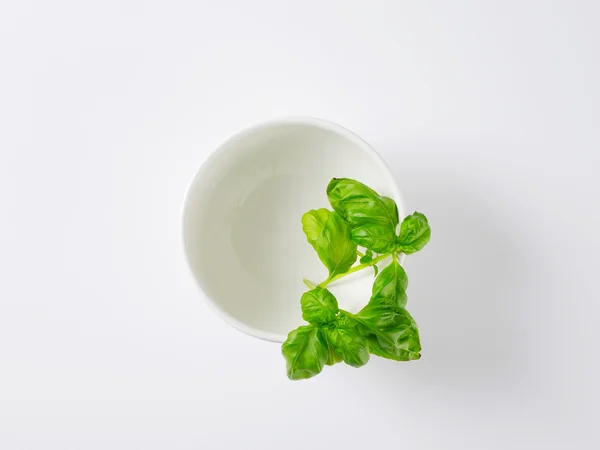 Albahaca fresca en tazón blanco —  Fotos de Stock