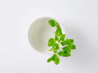 Beyaz kase taze Melisa