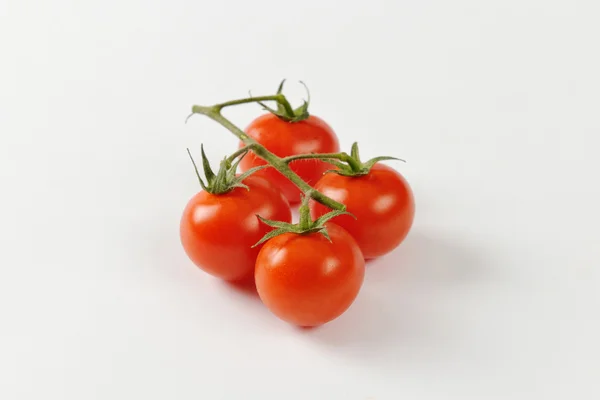 Pomodori ciliegia su vite — Foto Stock