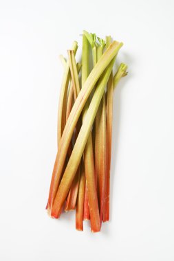 taze ravent saplarını