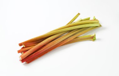 taze ravent saplarını