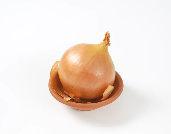 Raw onion with peel — Stock Photo, Image