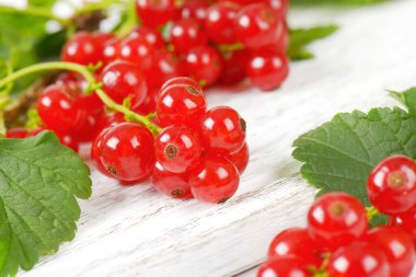 Frenk üzümü taze çilek