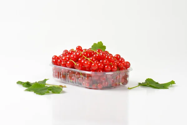 Frische rote Johannisbeeren — Stockfoto