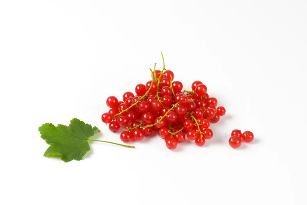 Sprigs of red currant berries — Stock Photo, Image