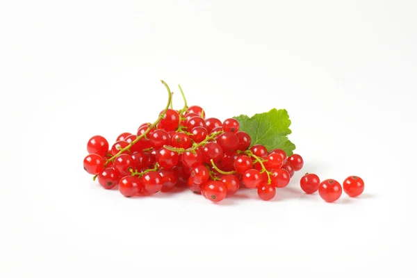 Sprigs of red currant berries — Stock Photo, Image