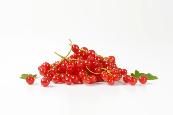 Sprigs of red currant berries — Stock Photo, Image