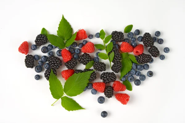 Variety of berry fruits — Stock Photo, Image