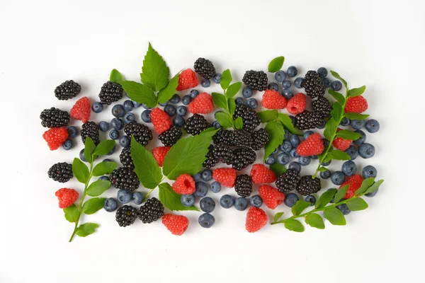 Variedade de frutos de baga — Fotografia de Stock