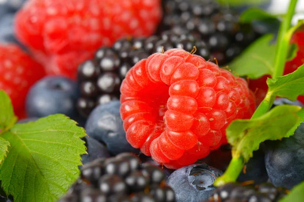 Varietà di frutti di bosco — Foto Stock