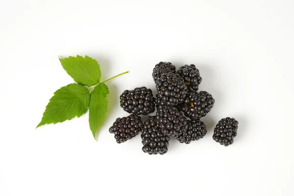 新鮮な熟したブラックベリー — ストック写真