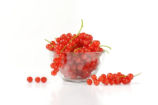Świeże porzeczki czerwone jagody — Zdjęcie stockowe