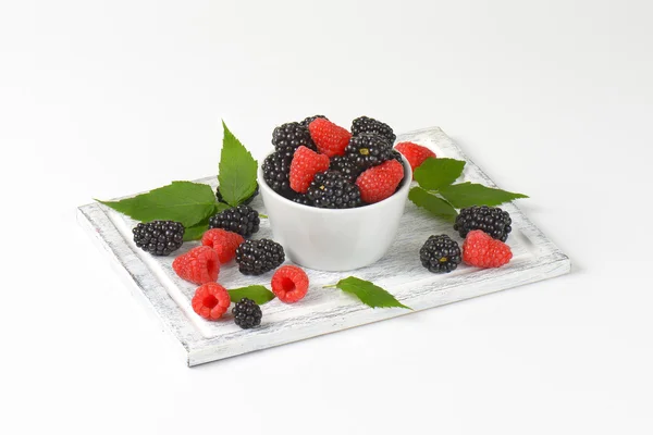 Blackberry segar dan raspberry — Stok Foto