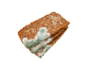 Mouldy brown bread clipart